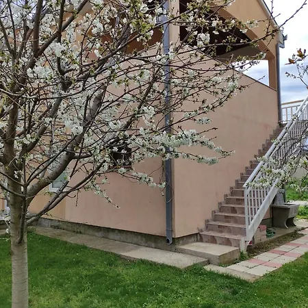 Apartman Jovo